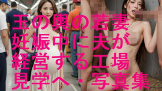 玉の輿  美人若人妻  妊娠中に夫の経営する工場見学で悲劇が・・写真集【全405枚】の配信先は？CG×エロ同人の魅力