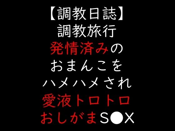 調教旅行  発情済みのおまんこをハメハメされ愛液トロトロおしがまS●X - エロ同人 ボイス