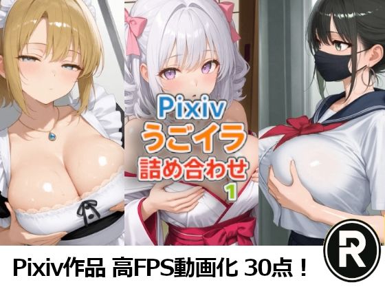 Pixivうごイラ詰め合わせ1 - エロ同人 動画