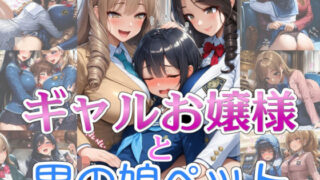 【完全着衣】ギャルお嬢様と男の娘ペットはどこで入手できる？CG×エロ同人の魅力